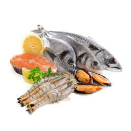 Seafood